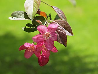 Find someone to help you with the technical aspects of the writing business so that you can spend your time on the important thing: WRITING